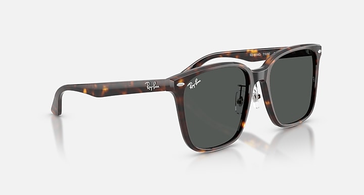 Ray-Ban RB2206D Havana with Dark Grey Solid Color lenses - Alternative