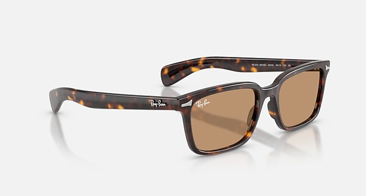 Ray-Ban BRUNEL Havana with Brown Solid Color lenses - Alternative