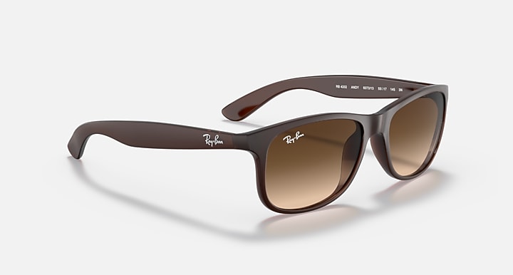 Ray-Ban ANDY Brown with Brown Gradient Gradient lenses - Alternative