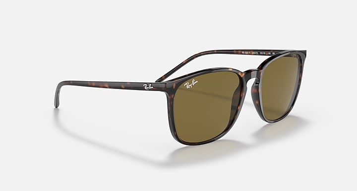 Ray-Ban RB4387 Tortoise with Brown Classic Solid Color lenses - Alternative