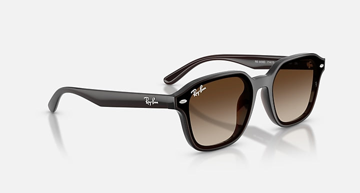 Ray-Ban RB4458D Transparent Dark Brown with Gradient Brown Gradient lenses - Alternative
