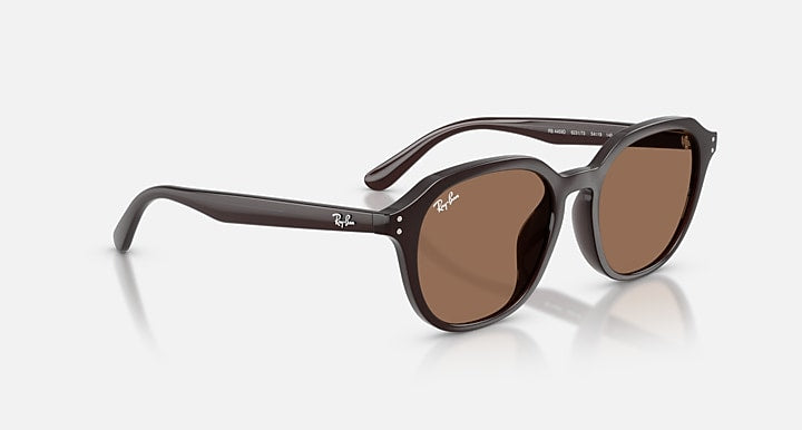 Ray-Ban RB4459D Opal Brown with Dark Brown Solid Color lenses - Alternative
