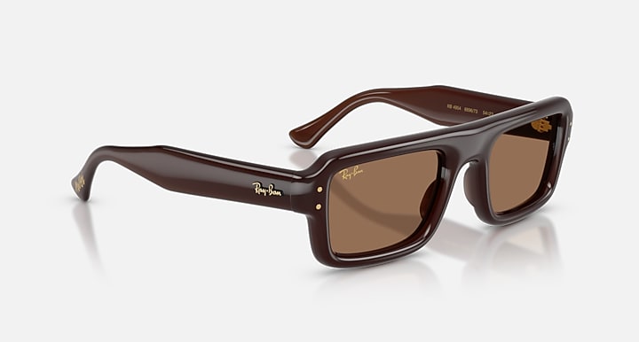 Ray-Ban FLACKO PUFFER Transparent Dark Brown with Dark Brown Solid Color lenses - Alternative