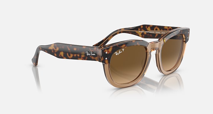 Ray-Ban MEGA HAWKEYE Havana On Transparent Brown with Brown Polarized Gradient lenses - Alternative