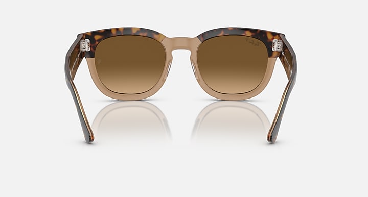 Ray-Ban MEGA HAWKEYE Havana On Transparent Brown with Brown Polarized Gradient lenses - Back