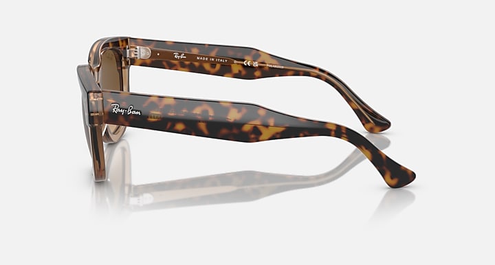 Ray-Ban MEGA HAWKEYE Havana On Transparent Brown with Brown Polarized Gradient lenses - Lateral
