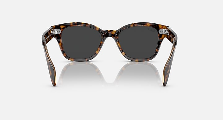 Ray-Ban RB0880S RELOADED Havana On Transparent Brown with Black Polarized Solid Color lenses - Back