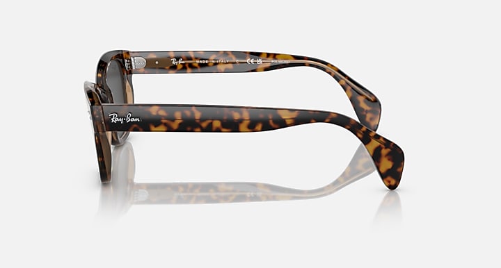 Ray-Ban RB0880S RELOADED Havana On Transparent Brown with Black Polarized Solid Color lenses - Lateral