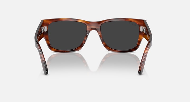 Ray-Ban CARLOS Striped Havana with Black Polarized Solid Color lenses - Back