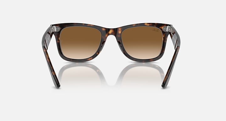 Ray-Ban ORIGINAL WAYFARER CLASSIC Tortoise with Solid Color Gradient lenses - Back