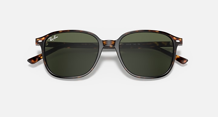 Ray-Ban LEONARD Tortoise with G-15 Green Solid Color lenses - Closed Front