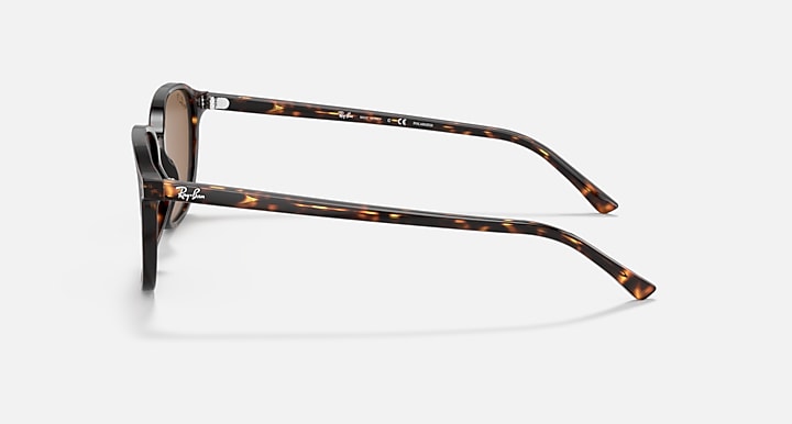 Ray-Ban LEONARD Tortoise with Brown Polarized Solid Color lenses - Lateral