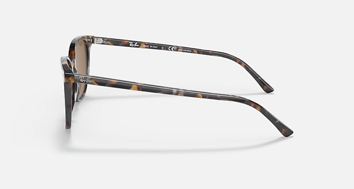 Ray-Ban ELLIOT Havana Brown Grey with Brown Polarized Solid Color lenses - Lateral