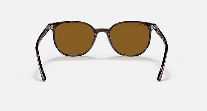 Ray-Ban ELLIOT Havana with Brown Solid Color lenses - Back