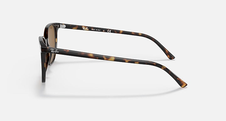Ray-Ban ELLIOT Havana with Brown Solid Color lenses - Lateral