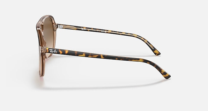 Ray-Ban BILL Havana On Transparent Brown; Tortoise with Light Brown Gradient Gradient lenses - Lateral