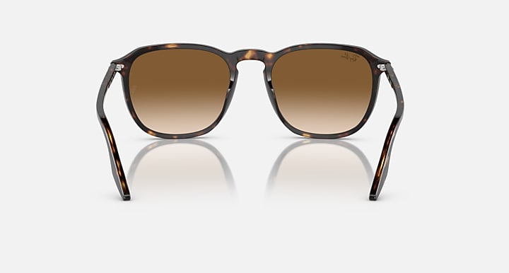 Ray-Ban RB2203 Havana with Light Brown Gradient lenses - Back
