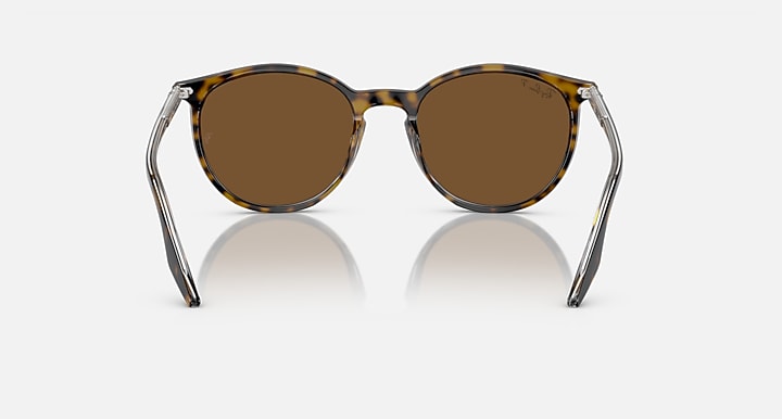 Ray-Ban RB2204 Havana On Transparent with Brown Polarized Solid Color lenses - Back