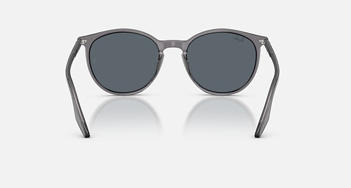 Ray-Ban RB2204 Transparent Grey with Blue Solid Color lenses - Back