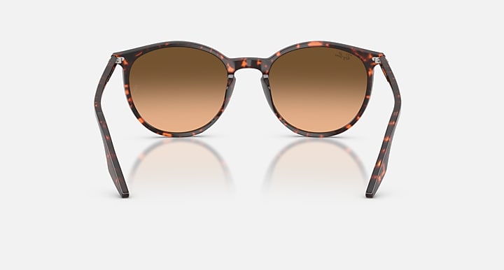 Ray-Ban RB2204 Havana Red Turtle with Pink Gradient Black Gradient lenses - Back