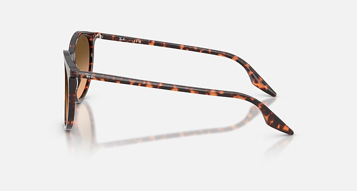 Ray-Ban RB2204 Havana Red Turtle with Pink Gradient Black Gradient lenses - Lateral