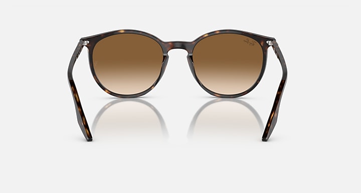 Ray-Ban RB2204 Havana with Light Brown Gradient lenses - Back