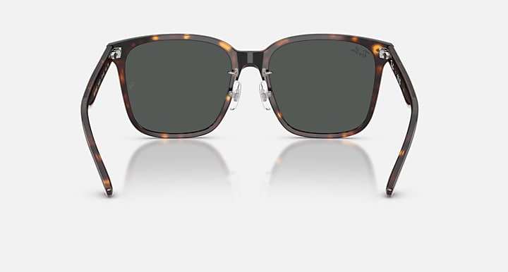 Ray-Ban RB2206D Havana with Dark Grey Solid Color lenses - Back