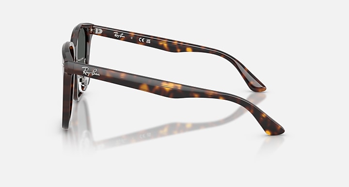 Ray-Ban RB2206D Havana with Dark Grey Solid Color lenses - Lateral