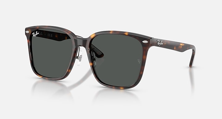 Ray-Ban RB2206D Havana with Dark Grey Solid Color lenses - Quarter