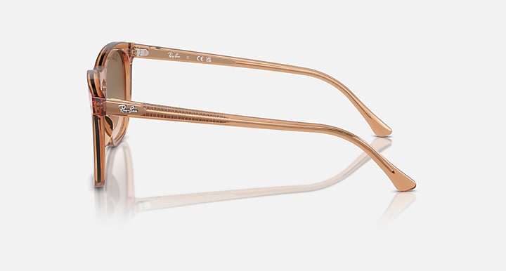 Ray-Ban RB2210 Transparent Brown with Clear & Brown Gradient lenses - Lateral