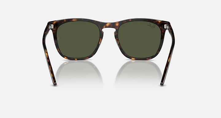 Ray-Ban RB2210 Havana with Green Solid Color lenses - Back