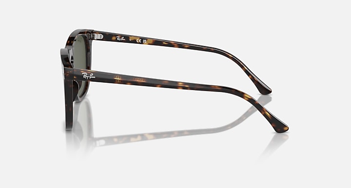 Ray-Ban RB2210 Havana with Green Solid Color lenses - Lateral