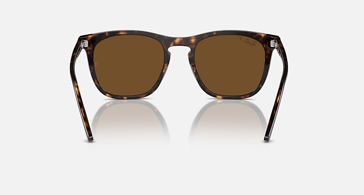 Ray-Ban RB2210 Havana with Brown Polarized Solid Color lenses - Back