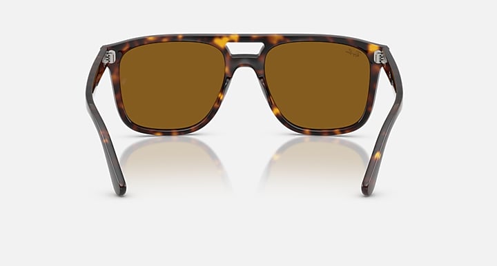 Ray-Ban RB2213 Havana with B-15 Brown Solid Color lenses - Back