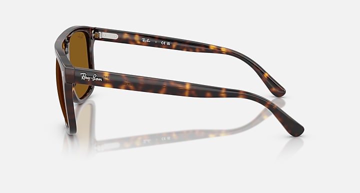 Ray-Ban RB2213 Havana with B-15 Brown Solid Color lenses - Lateral