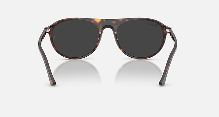 Ray-Ban RB2215 Havana with Polarized Black Solid Color lenses - Back