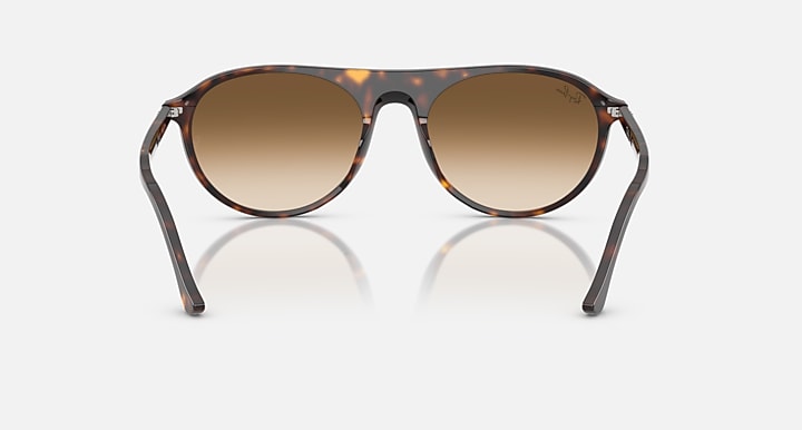 Ray-Ban RB2215 Havana with Clear Gradient Brown Gradient lenses - Back