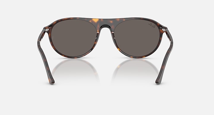 Ray-Ban RB2215 Havana with Dark Grey Solid Color lenses - Back
