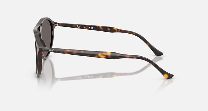Ray-Ban RB2215 Havana with Dark Grey Solid Color lenses - Lateral