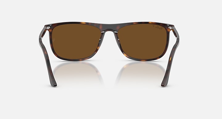 Ray-Ban RB2216 Havana with Brown Polarized Solid Color lenses - Back