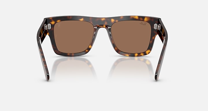 Ray-Ban RB2217M SCUDERIA FERRARI COLLECTION Havana with Dark Brown Solid Color lenses - Back
