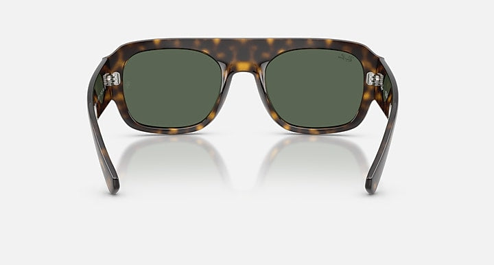 Ray-Ban RB2218 Havana with Green Solid Color lenses - Back