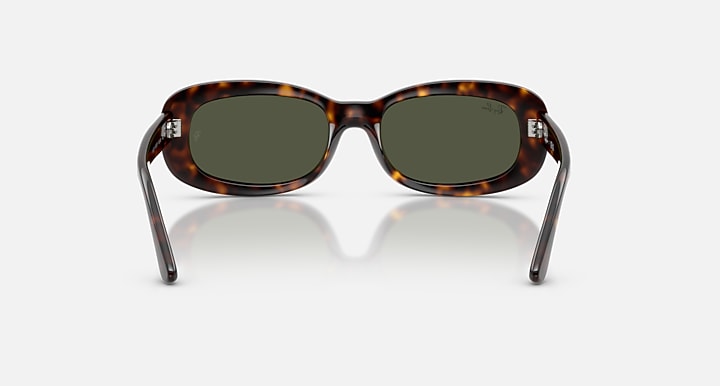 Ray-Ban RB2221 Havana with Green Solid Color lenses - Back