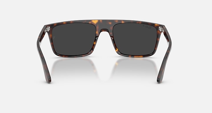 Ray-Ban RB2222 Havana with Polarized Black Solid Color lenses - Back