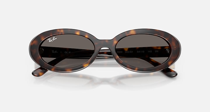 Ray-Ban RB2223 Havana with Dark Grey Solid Color lenses - Closed Front