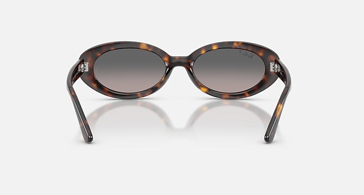 Ray-Ban RB2223 Havana with Grey Gradient Polarized Gradient lenses - Back