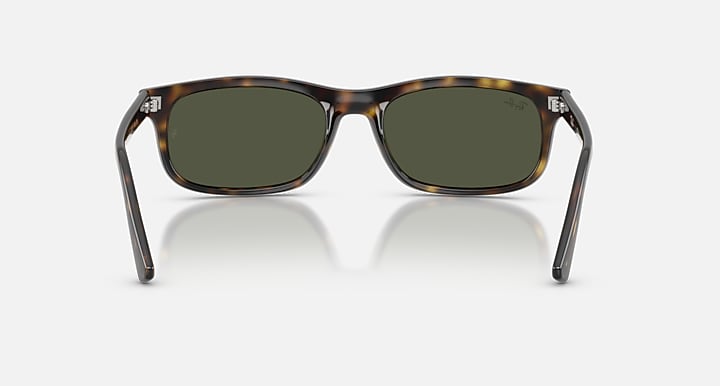 Ray-Ban RB2224 Havana with Green Solid Color lenses - Back