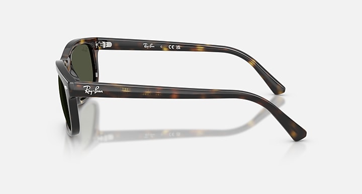 Ray-Ban RB2224 Havana with Green Solid Color lenses - Lateral