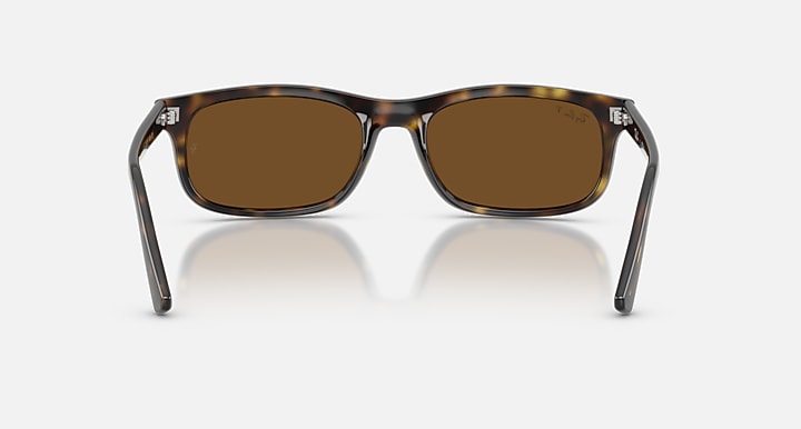 Ray-Ban RB2224 Havana with Polarized Brown Solid Color lenses - Back