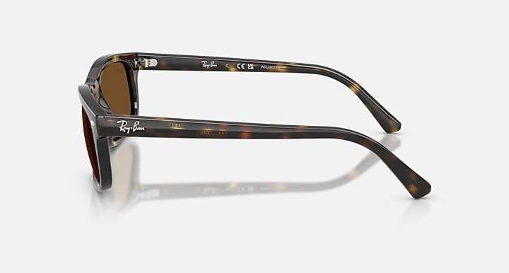 Ray-Ban RB2224 Havana with Polarized Brown Solid Color lenses - Lateral